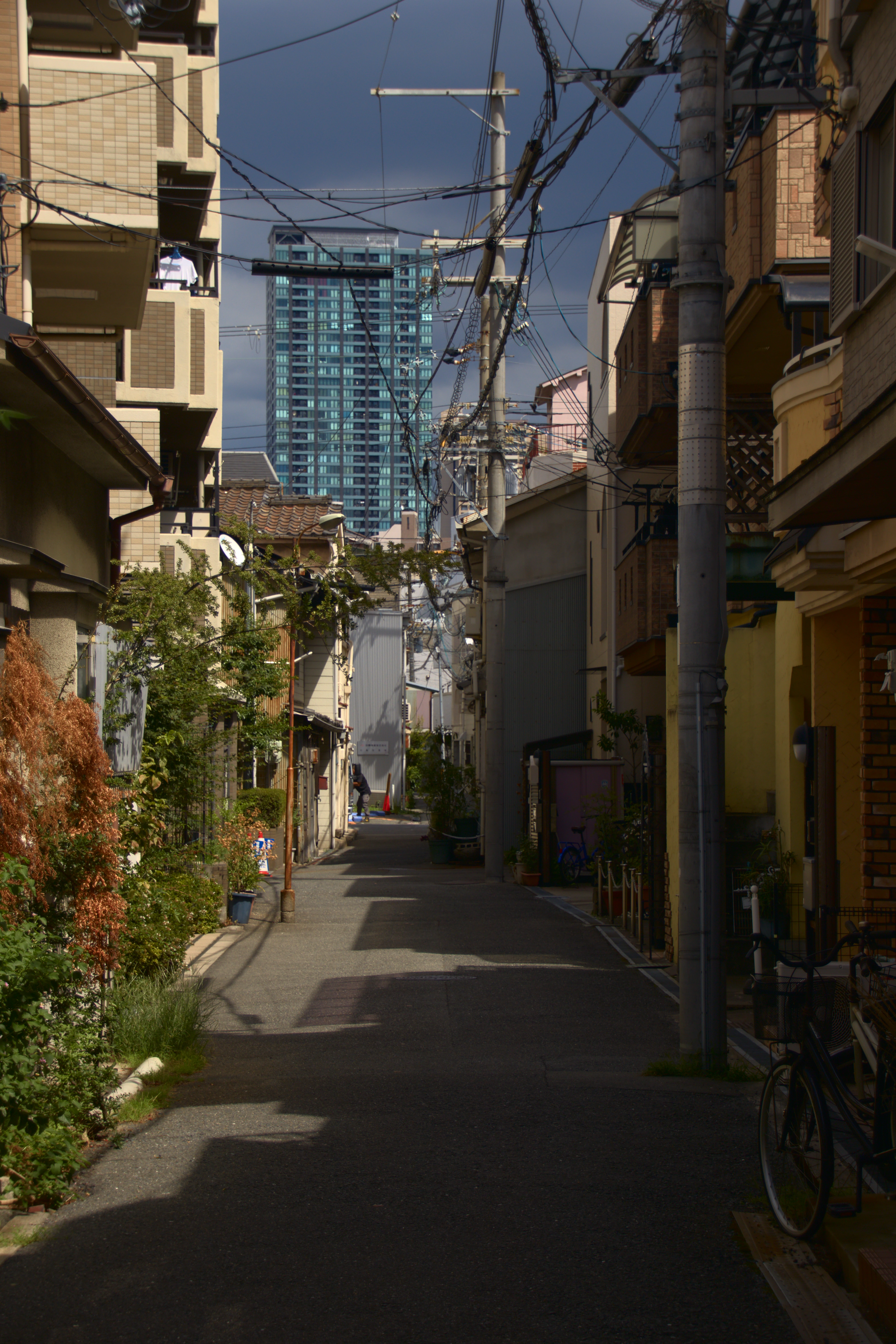 Photo 14